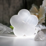 Selenite Flower Slices - helmsman - crystal