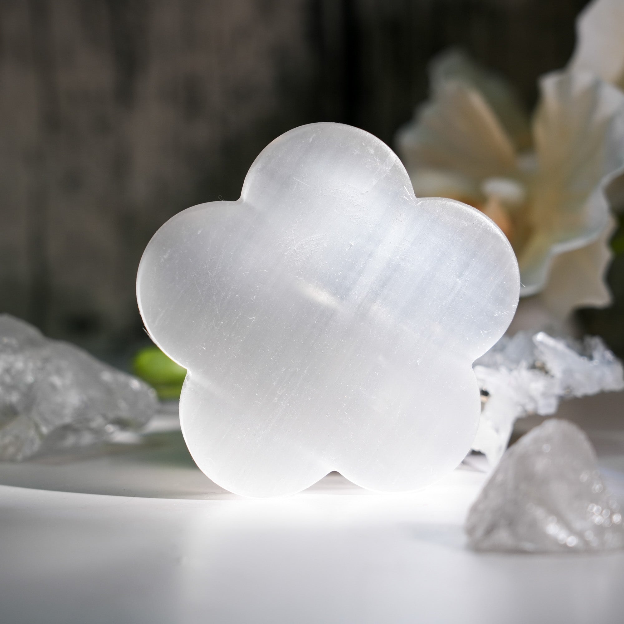 Selenite Flower Slices - helmsman - crystal