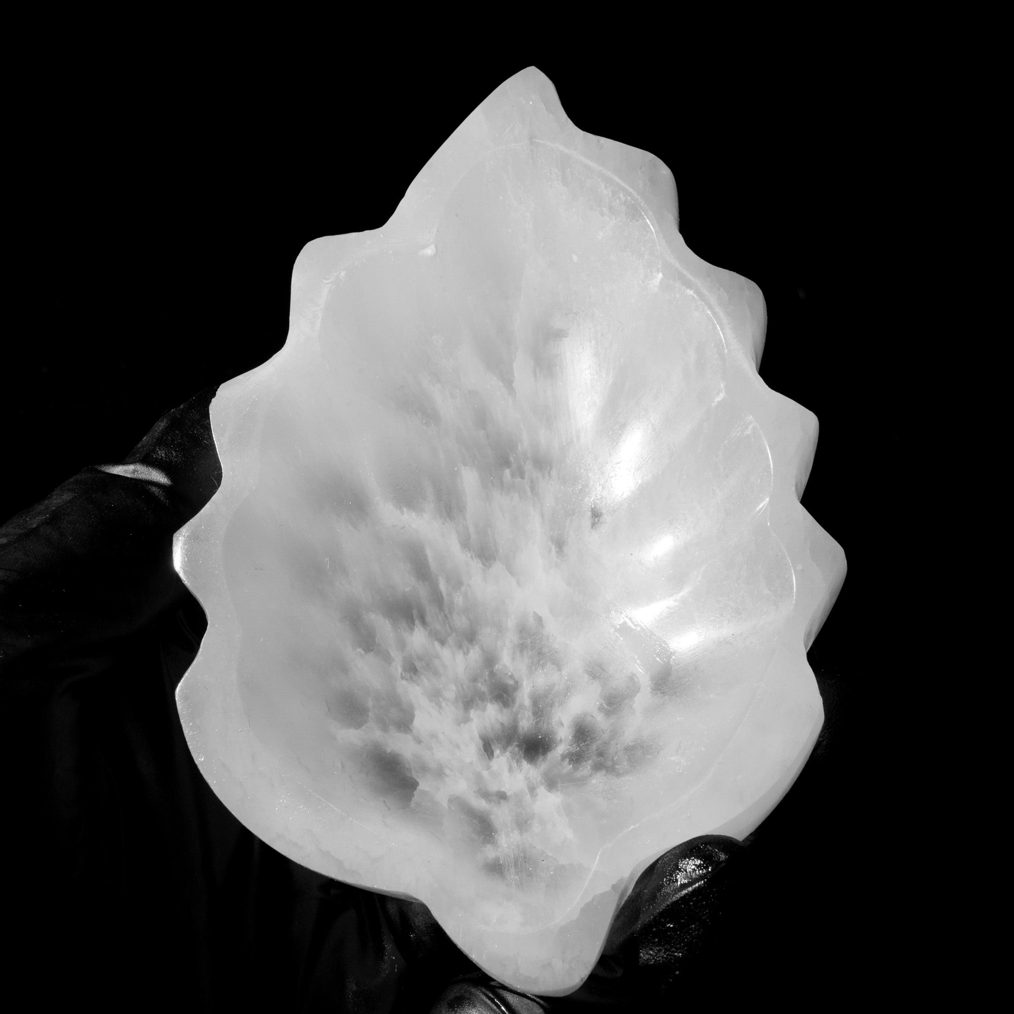 Selenite Leaves Charging Bowl - helmsman - crystal