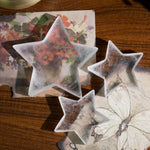 Selenite Pentagram - Helmsman Crystal - Healing Crystal