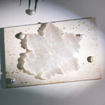 Selenite Snowflakes - helmsman - crystal