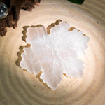 Selenite Snowflakes - helmsman - crystal