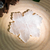 Selenite Snowflakes - helmsman - crystal