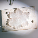 Selenite Snowflakes - Helmsman Crystal - Healing Crystal