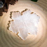 Selenite Snowflakes - Helmsman Crystal - Healing Crystal