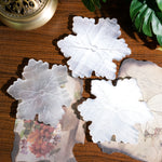 Selenite Snowflakes - Helmsman Crystal - Healing Crystal