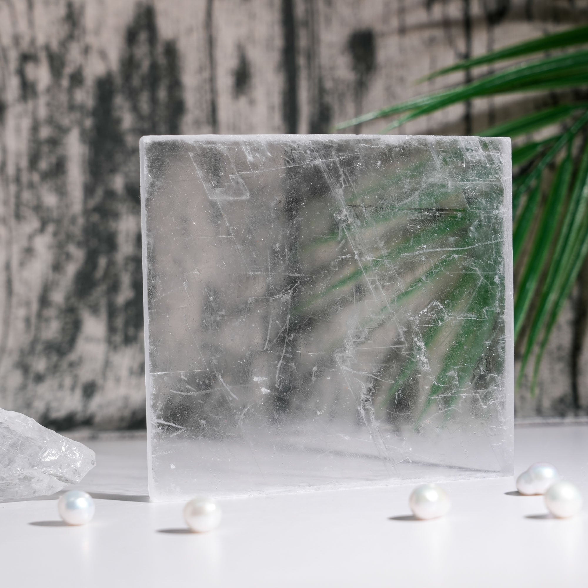 Selenite Square Slices - helmsman - crystal