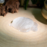 Selenite Turtle - helmsman - crystal