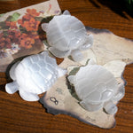 Selenite Turtle - helmsman - crystal