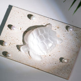 Selenite Turtle - Helmsman Crystal - Healing Crystal
