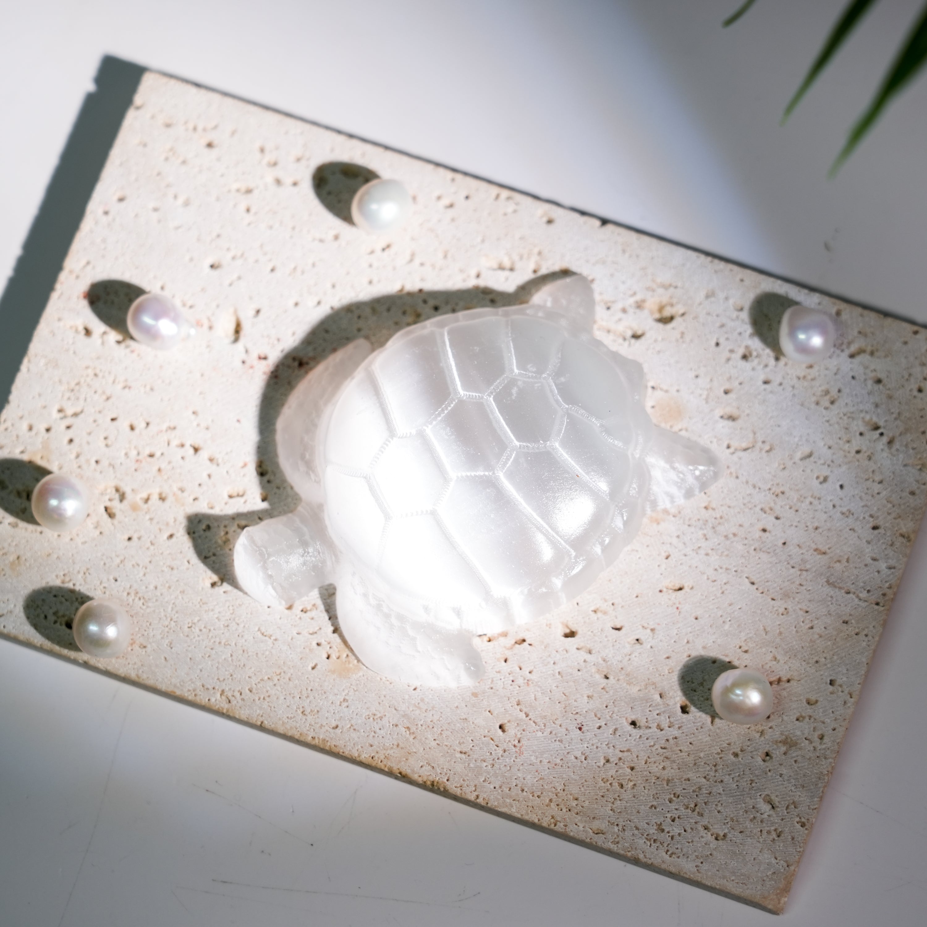 Selenite Turtle - Helmsman Crystal - Healing Crystal
