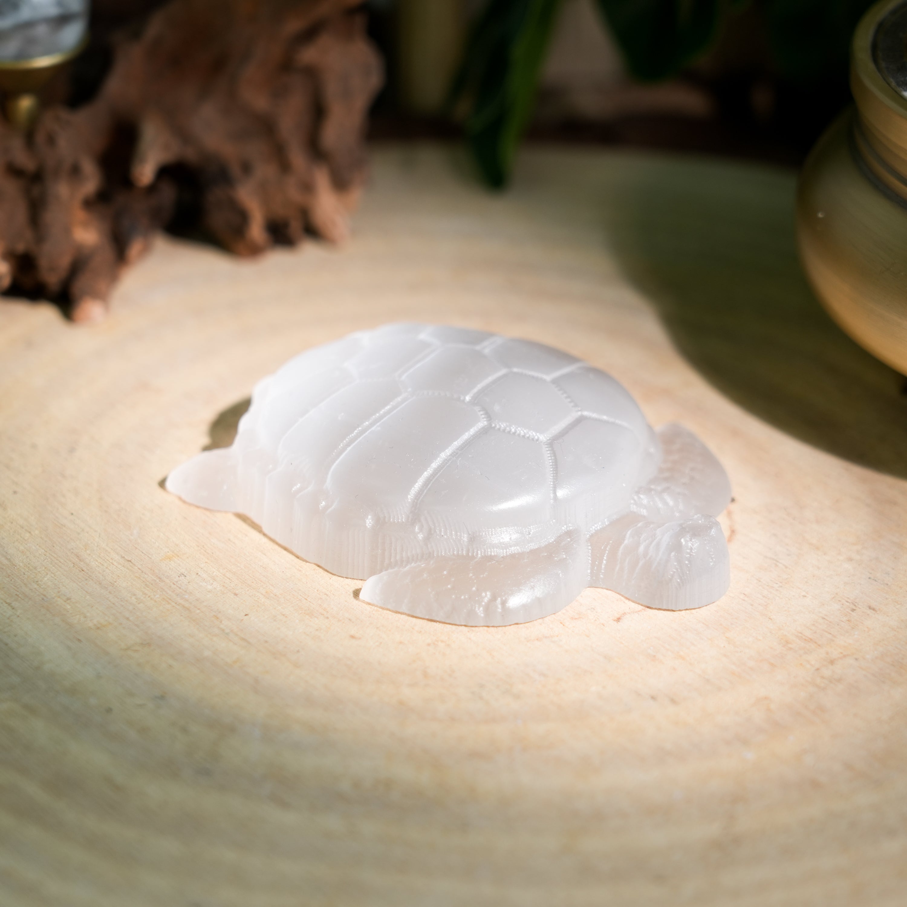 Selenite Turtle - Helmsman Crystal - Healing Crystal