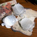 Selenite Turtle - Helmsman Crystal - Healing Crystal