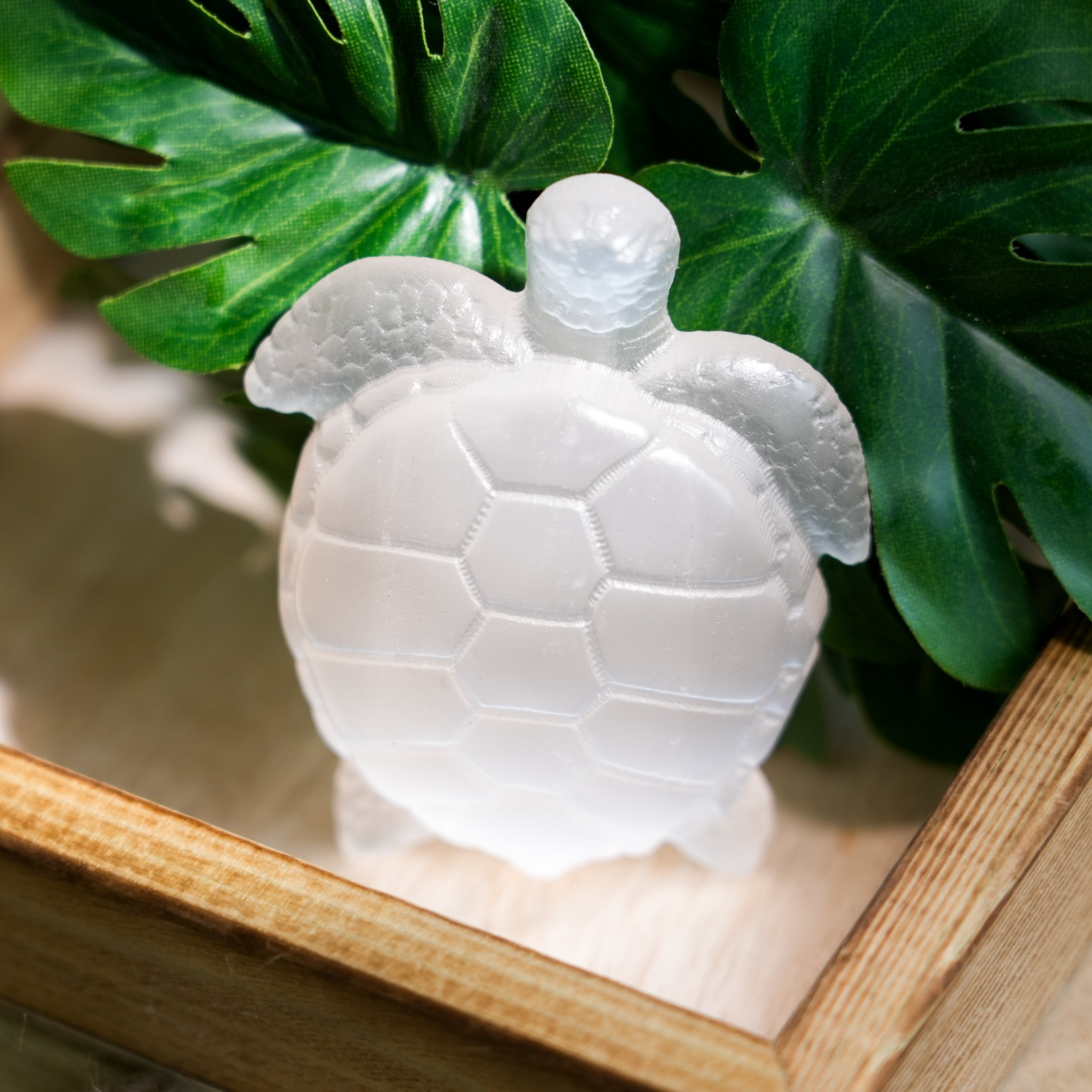 Selenite Turtle - Helmsman Crystal - Healing Crystal