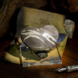 Shell Stone Heart - helmsman - crystal