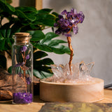 Solar & Lunar Crystal Gift Series - Helmsman Crystal - Healing Crystal