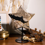 Volcanic Agate Pentagram Ornament - helmsman - crystal