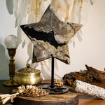Volcanic Agate Pentagram Ornament - helmsman - crystal
