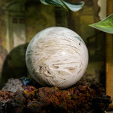 White Mexico Agate Sphere - helmsman - crystal